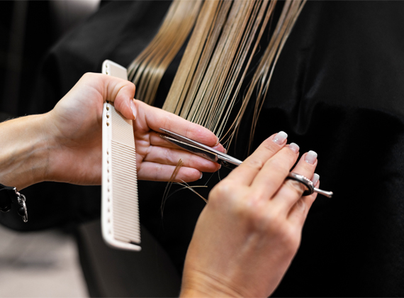 Iranian services in The Netherlands - category image